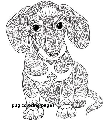 Adult Coloring Pages Pug