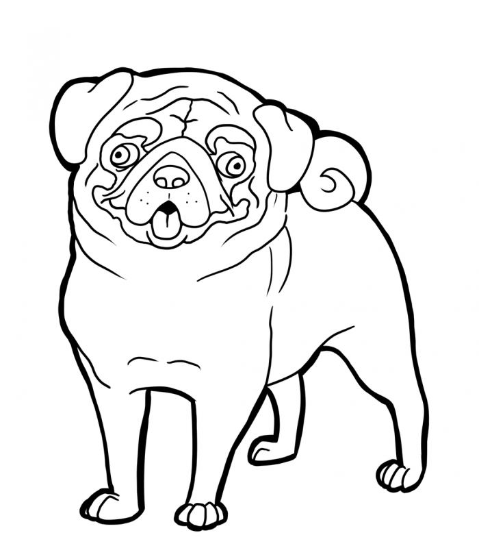 700x816 Pug Coloring Pages Pug Coloring Books, Shrinky