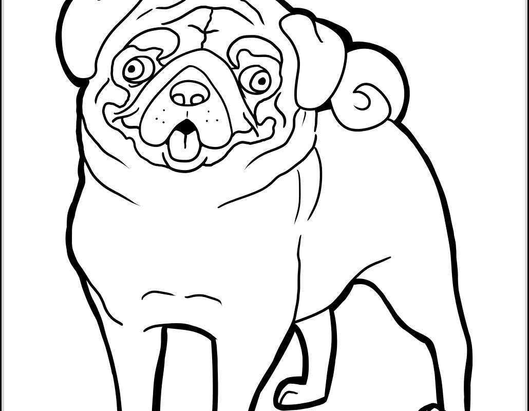 1030x800 Sure Fire Pug Dog Coloring Pages For Adults Dogs Copy