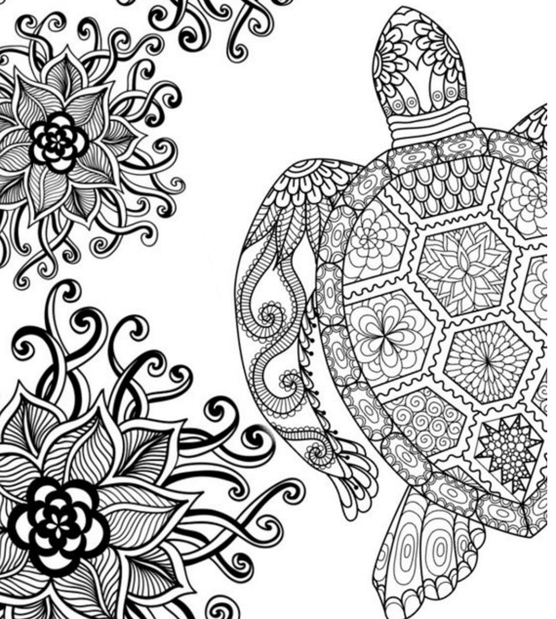 1140x1268 Revolutionary Turtle Coloring Pages For Adults 5220 At Turtle