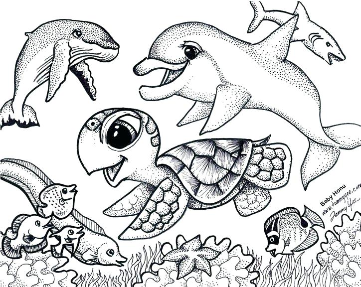 724x576 Turtle Coloring Pages For Adults Il 570xn 1133454810 Ojcy