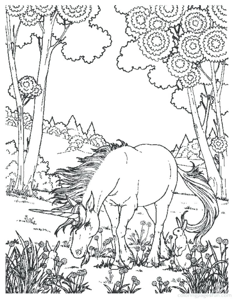 802x1024 Adult Coloring Page From The Coloring Book Goddesses Description