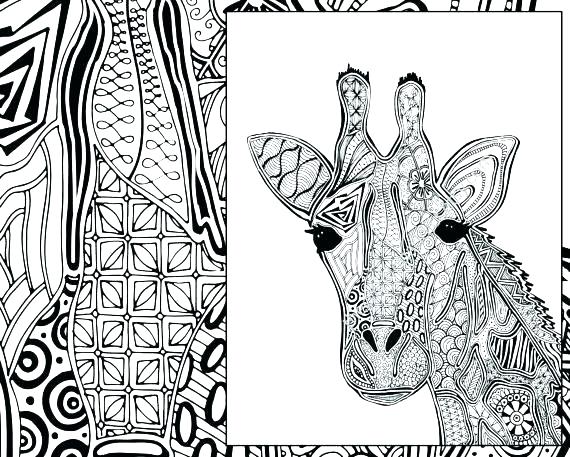 570x457 Giraffe Coloring Pages Printable Giraffe Coloring Pages Giraffe