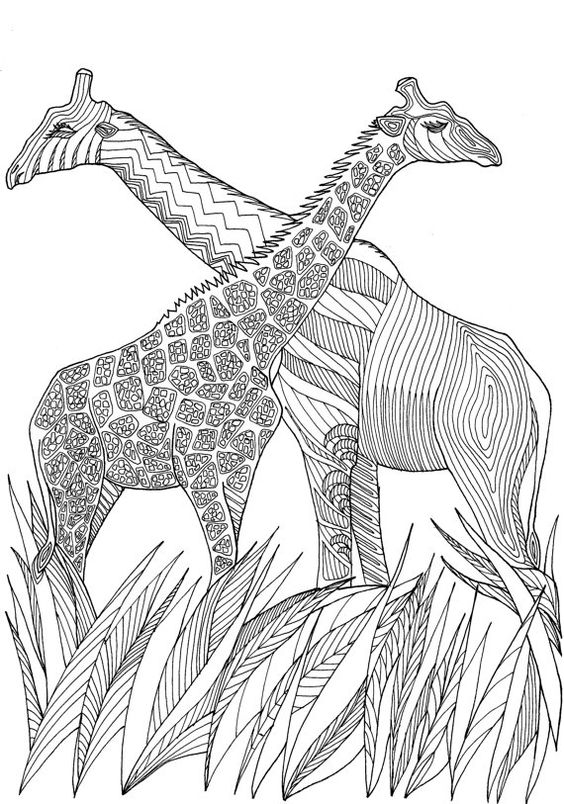 564x804 Pin By Barbara On Coloring Giraf, Camel
