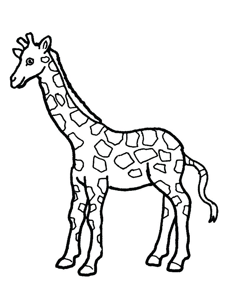 768x1024 Coloring Pages ~ Giraffe Coloring Pages Cute Free For Adults