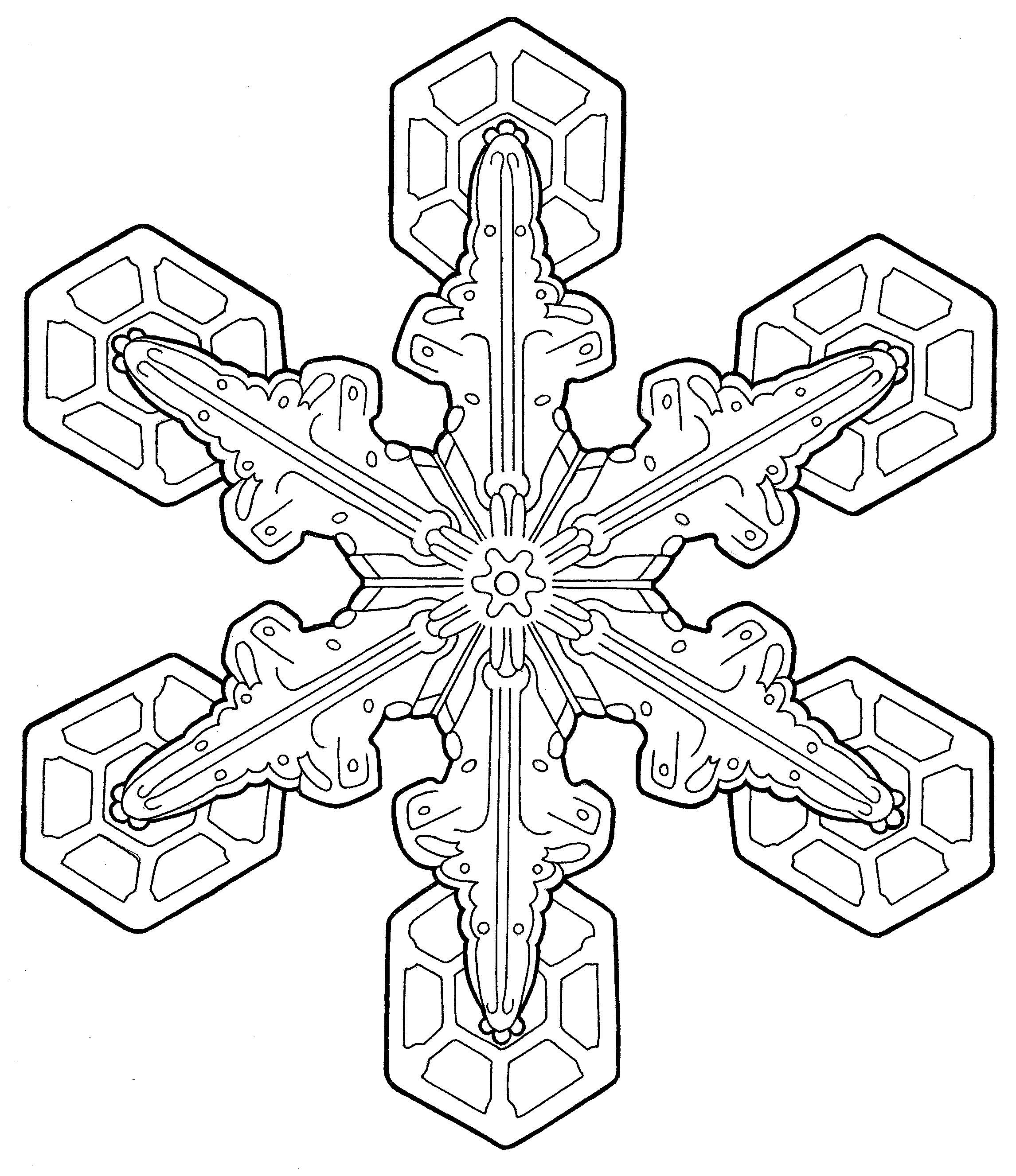 2292x2654 Holiday Coloring Pages For Adults In Glum Me At Bloodbrothers