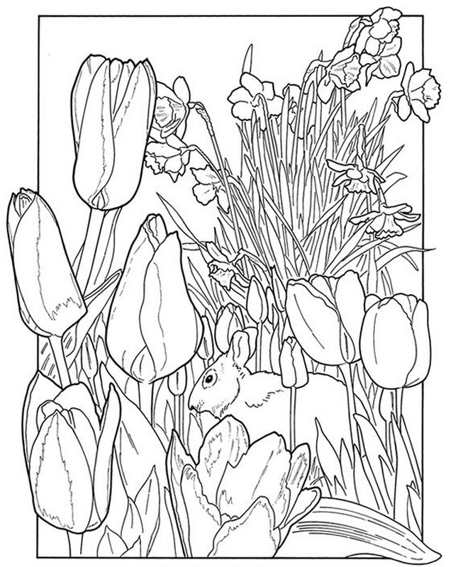 653x800 Spring Coloring Pages For Adults Pleasing Adult Coloring Pages
