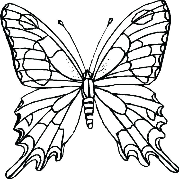 736x738 Spring Coloring Pages For Adults Spring Coloring Page Spring