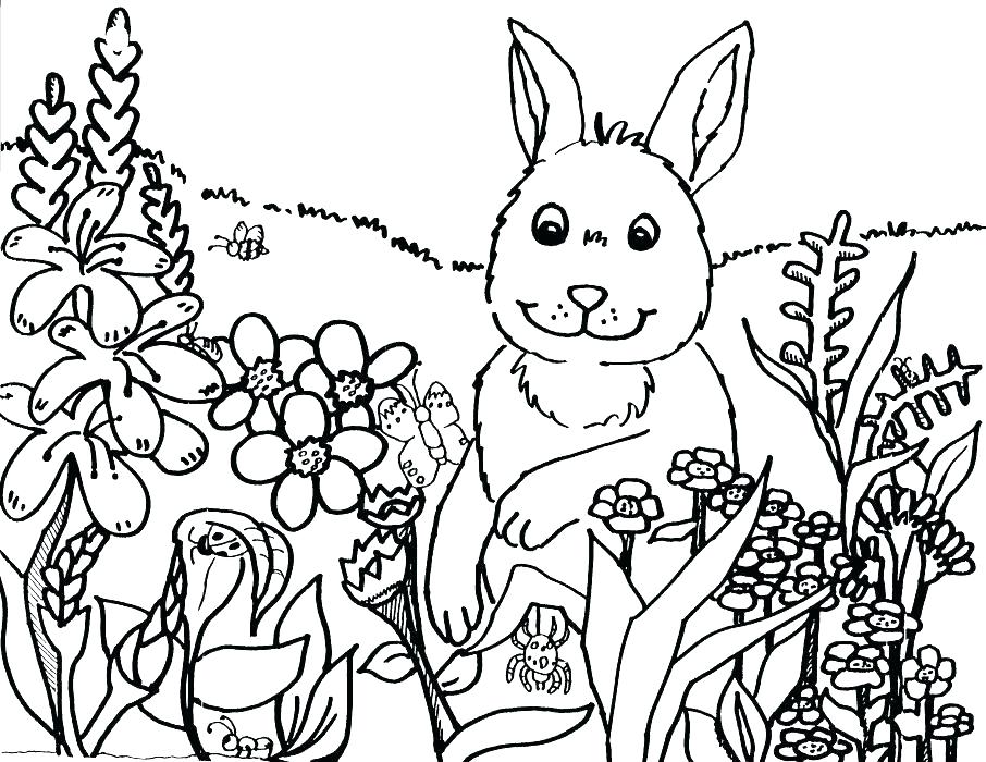 906x700 Spring Coloring Pages Adults Spring Coloring Pages