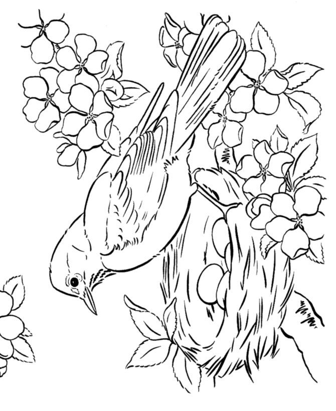 670x820 464 Best Free Coloring Pages For Adults Images