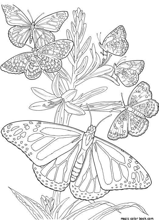 523x720 Adult Coloring Pages Spring Flowers Printable