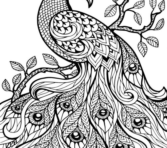 678x600 Free Colring Pages Best 25 Free Coloring Pages Ideas