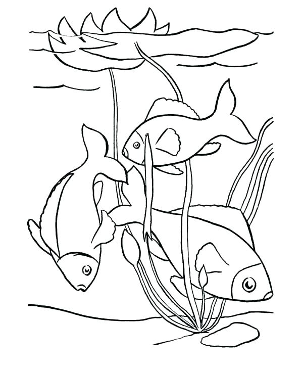 600x734 Surprising Pond Coloring Page Surprising Pond Coloring Page