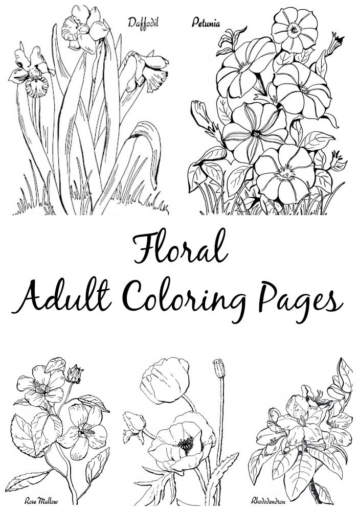 700x1000 7 Floral Adult Coloring Pages