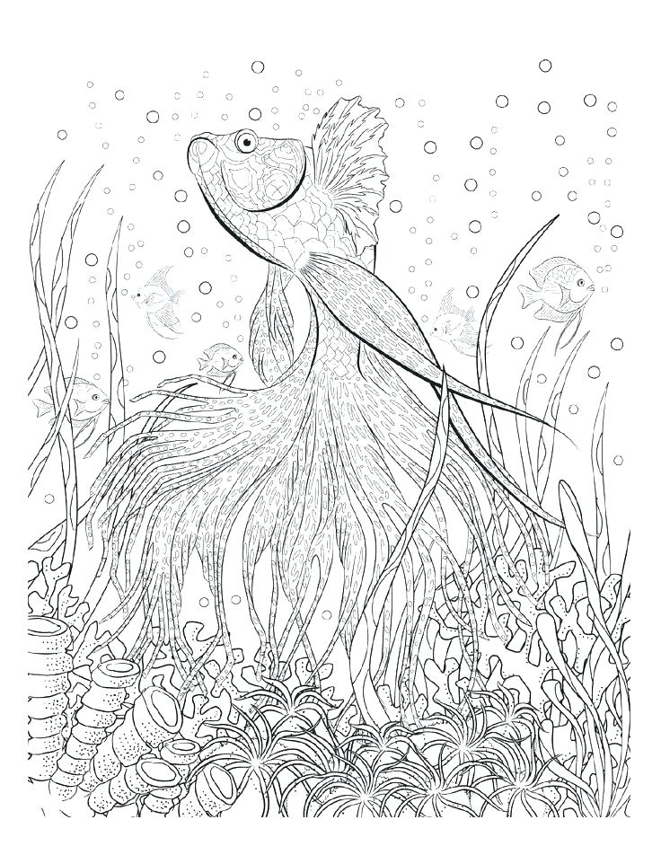 736x952 Themed Coloring Pages Adult Themed Coloring Pages Kids Free