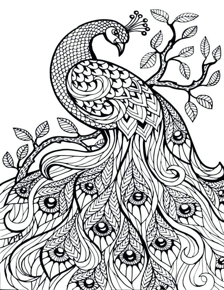 728x942 Printable Advanced Coloring Pages Printable Advanced Coloring