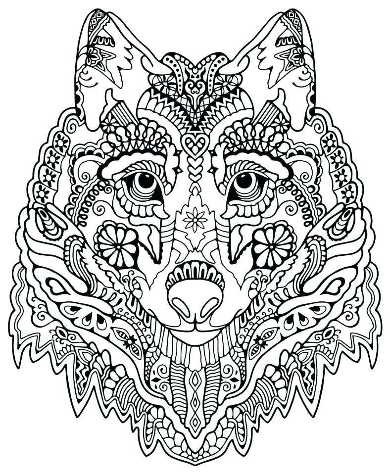 788x960 Advanced Flower Coloring Pages Free Advanced Coloring Pages Also