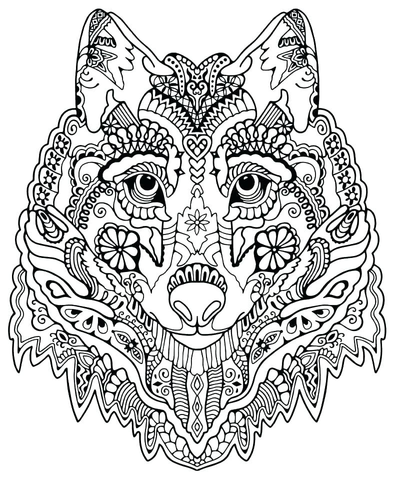 788x960 Advanced Coloring Pages