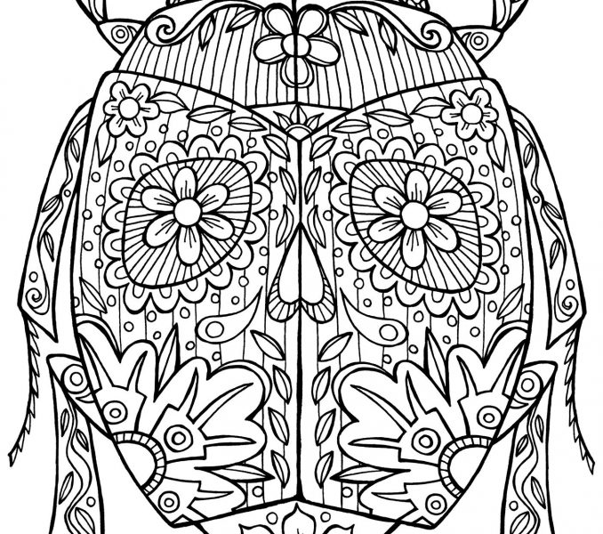 678x600 Advanced Coloring Pages Of Animals
