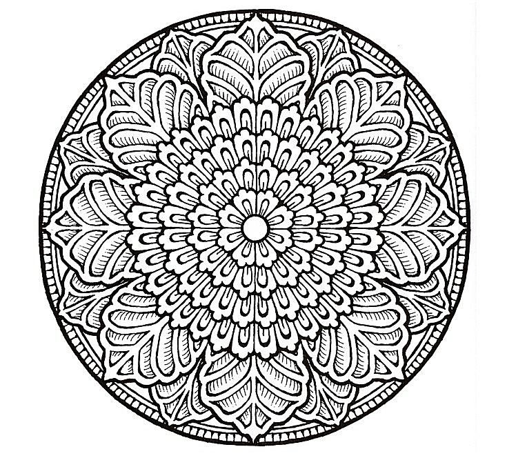 735x664 Complex Coloring Pages Animals Good Complex Coloring Pages