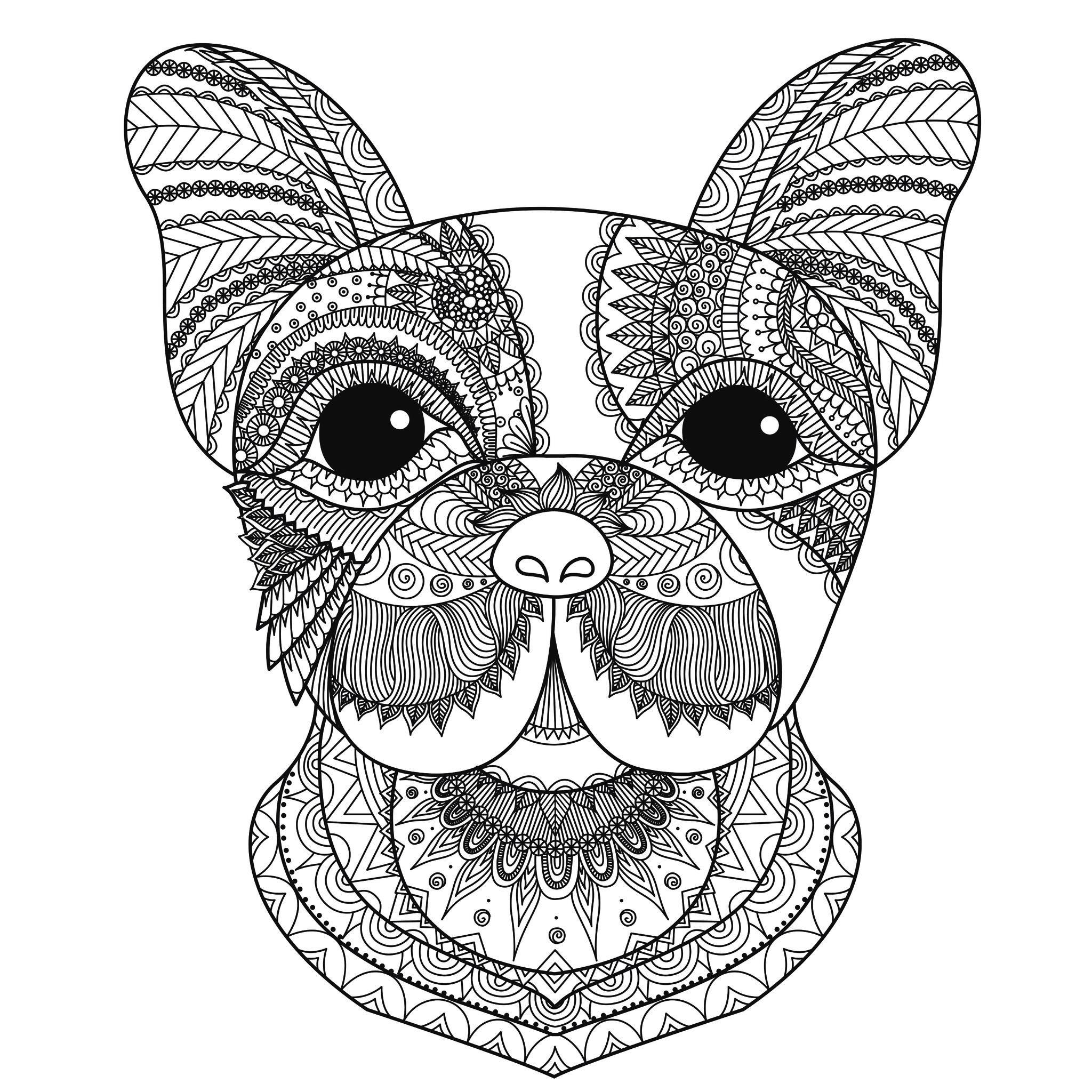 2048x2048 Pioneering Advanced Coloring Pages Of Animals Best Picture