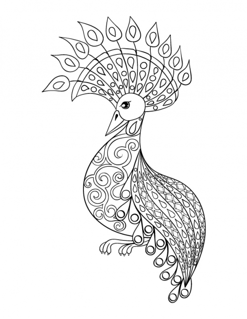 500x646 Advanced Bird Coloring Page