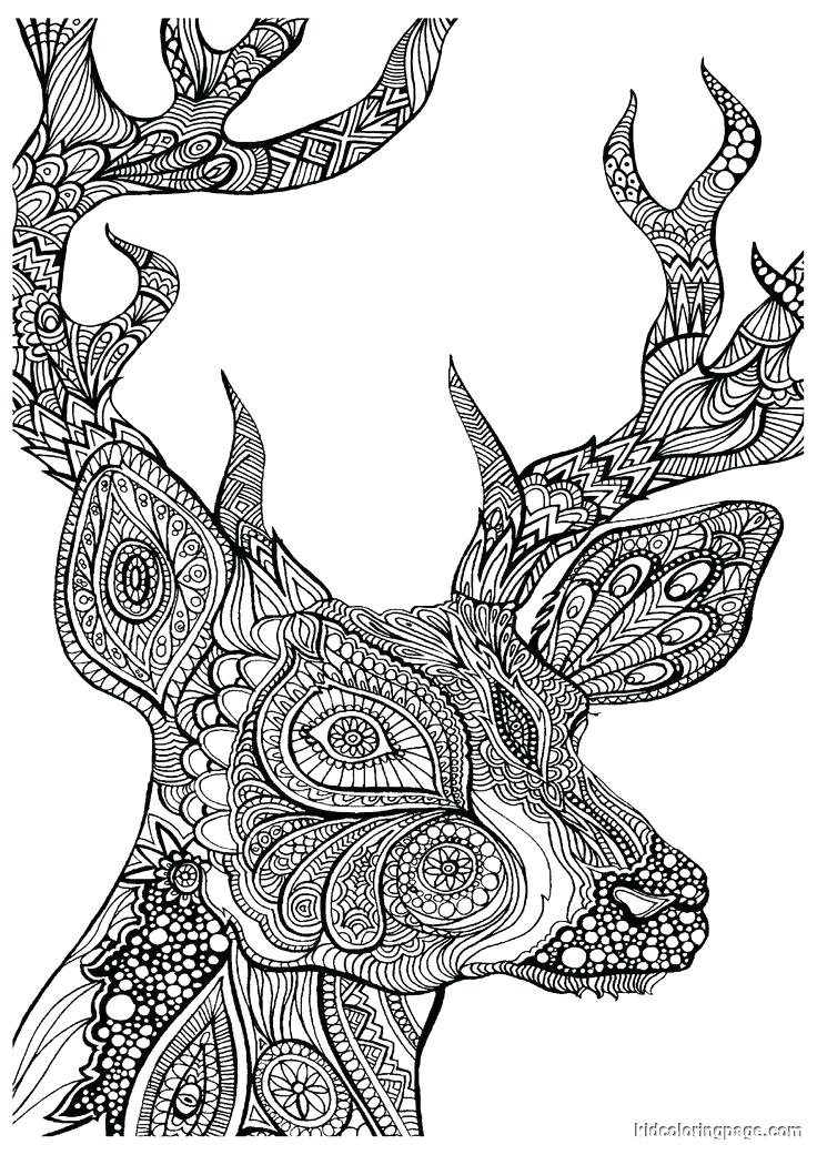 736x1041 Advanced Coloring Books Advanced Coloring Book Advanced Fantasy