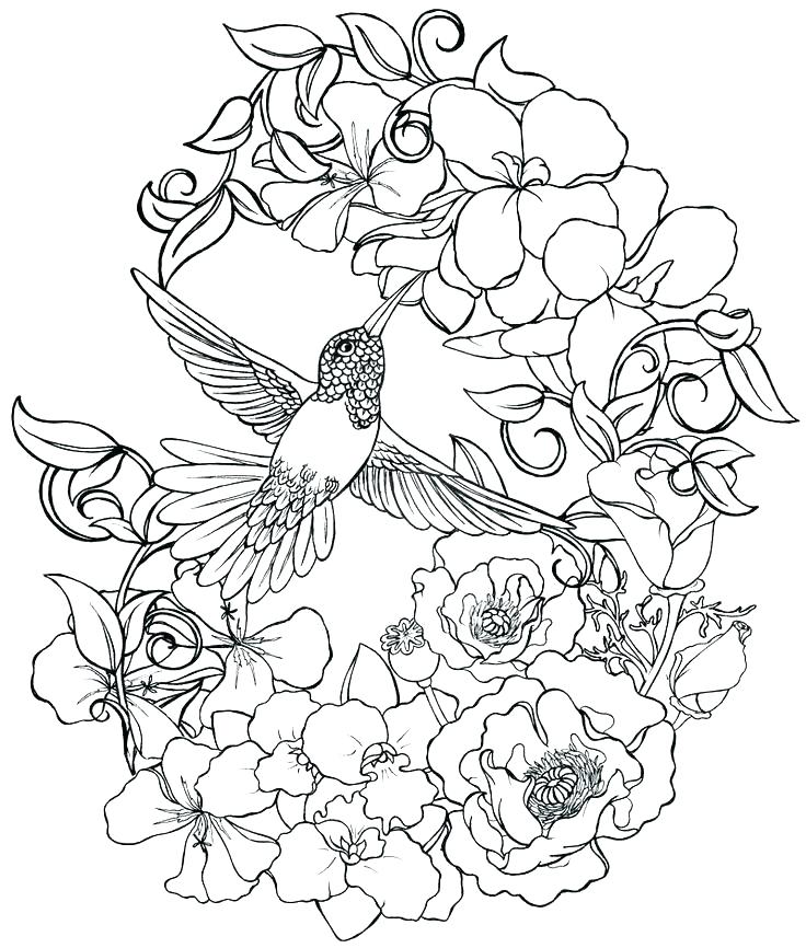 736x866 Advanced Flower Coloring Pages To Print Detailed Animal Coloring