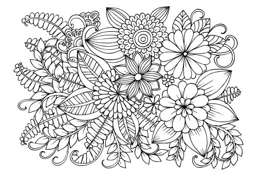 500x343 Advanced Flower Coloring Pages 11 In Flowers Coloring Pages