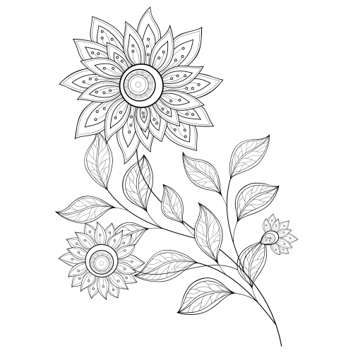 500x500 Advanced Flower Coloring Pages 6 Flower Colors, Flower And Adult