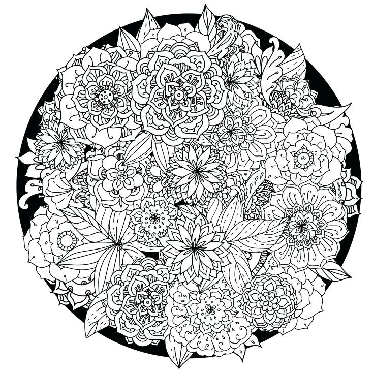 736x736 Best Printable Mandalas To Color Free Images On Para Six Sisters