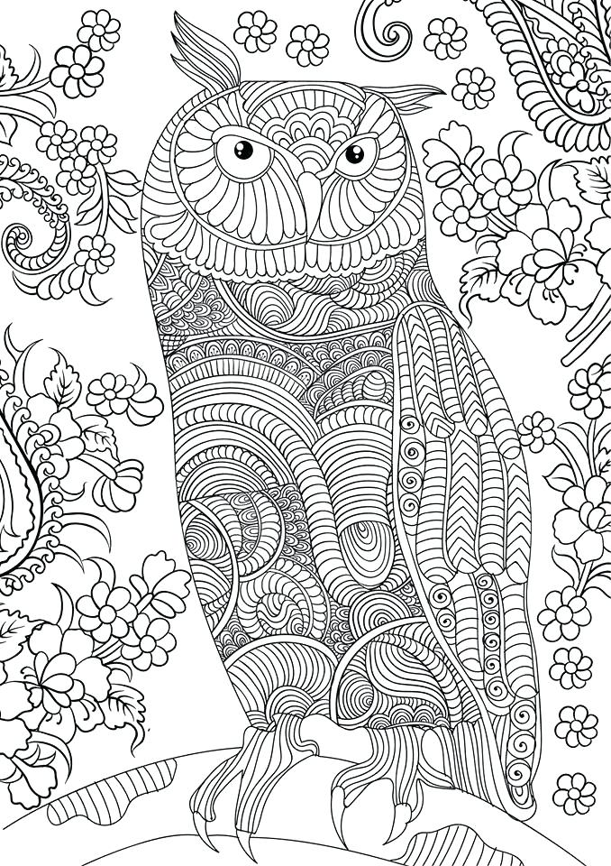 678x960 Owl Coloring Pages For Adults Free Detailed Owl Coloring Pages