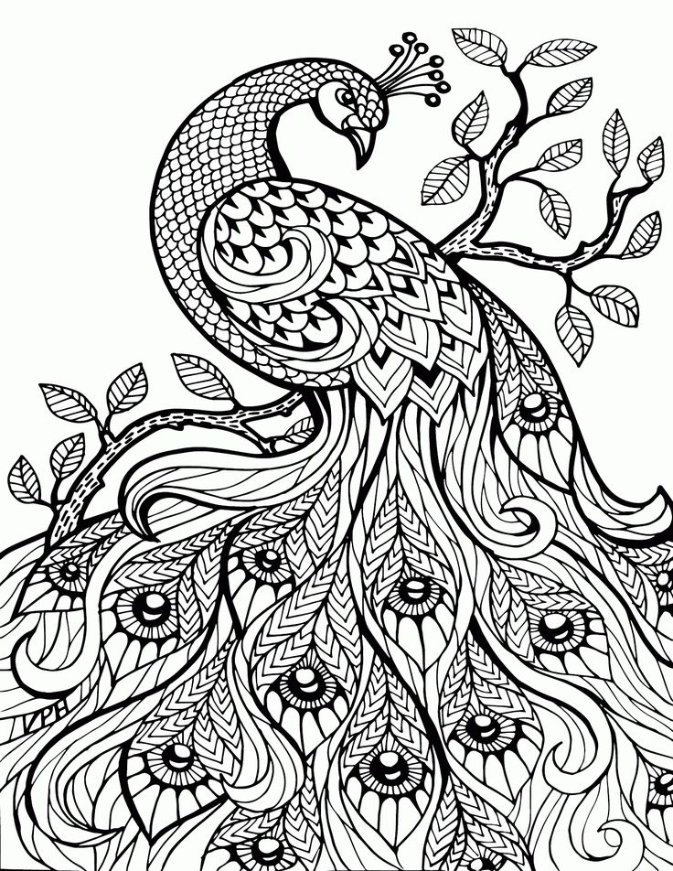 736x952 Surprising Ideas Printable Advanced Coloring Pages At Book Online
