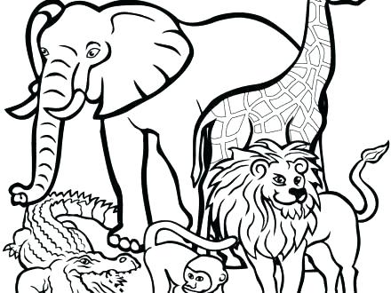 440x330 African Animal Coloring Pages Animal Coloring Pages Printable Kids