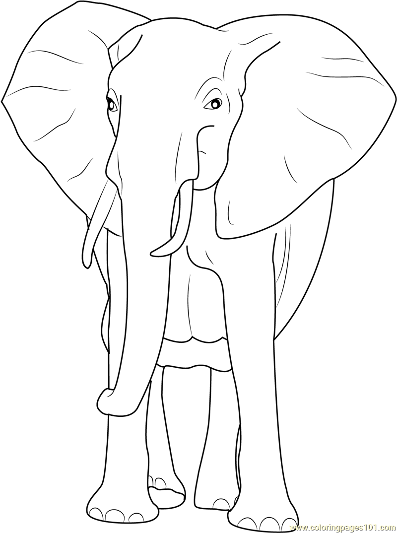 African Elephant Coloring Page