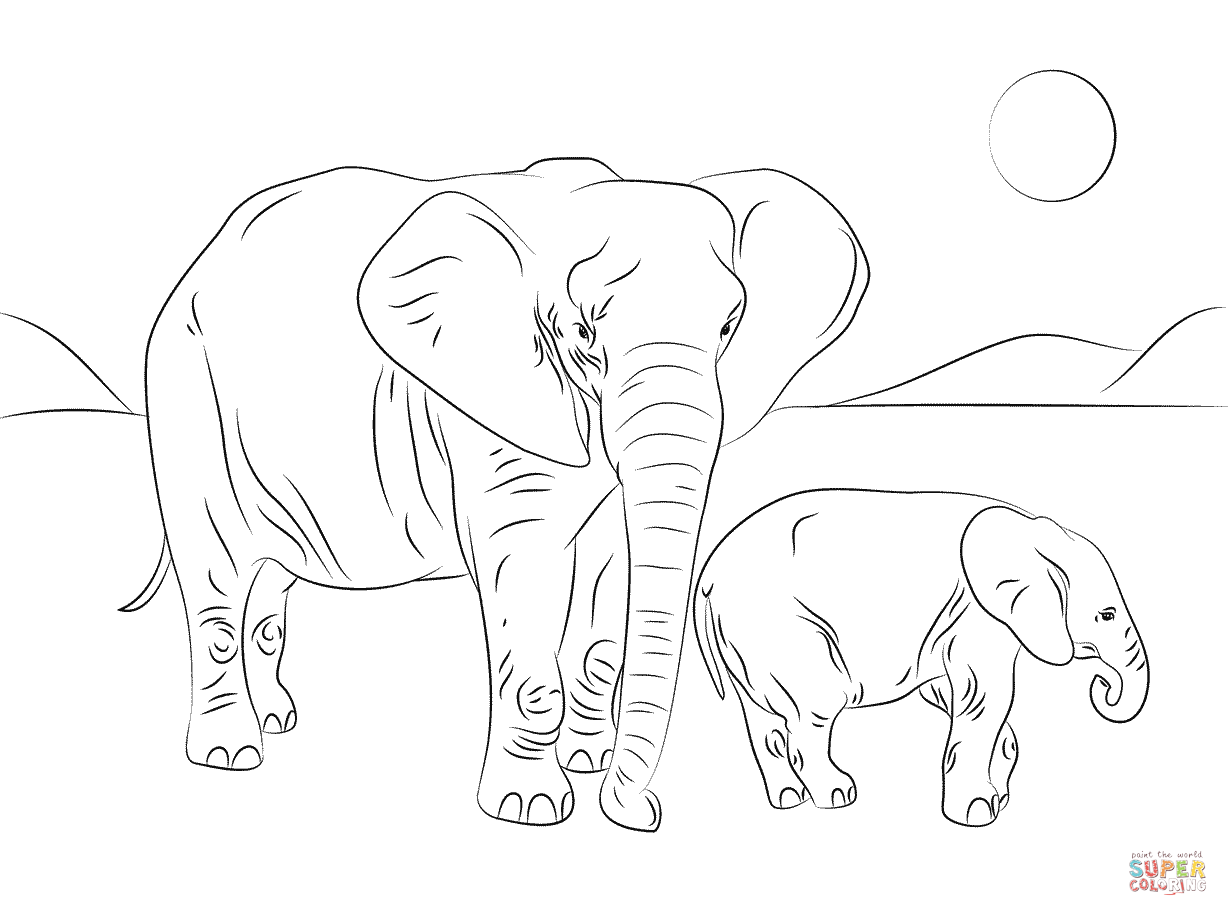 1228x916 African Elephant Coloring Page