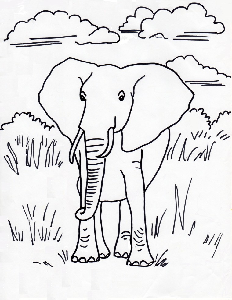 760x985 African Elephant Coloring Page