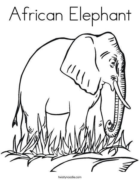 468x605 African Elephant Coloring Page