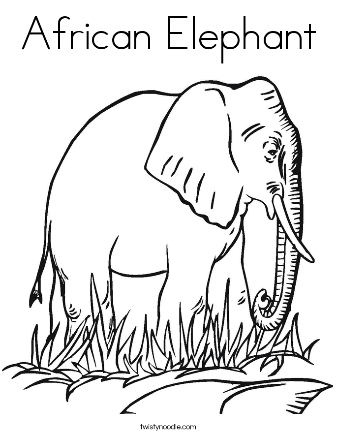 685x886 African Elephant Coloring Page