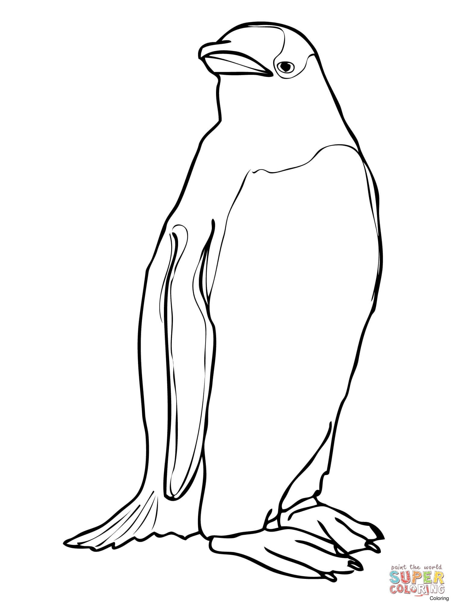 1500x2000 Macaroni Crested Penguin Coloring Page Penguins Sheets Click