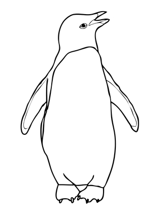 323x430 Adelie Penguin Coloring Page Preschool