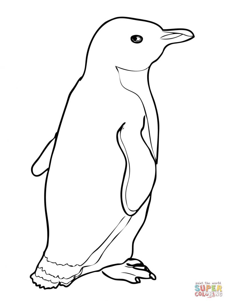 790x1053 Penguin Coloring Book Books Covers Colouring Page Classics