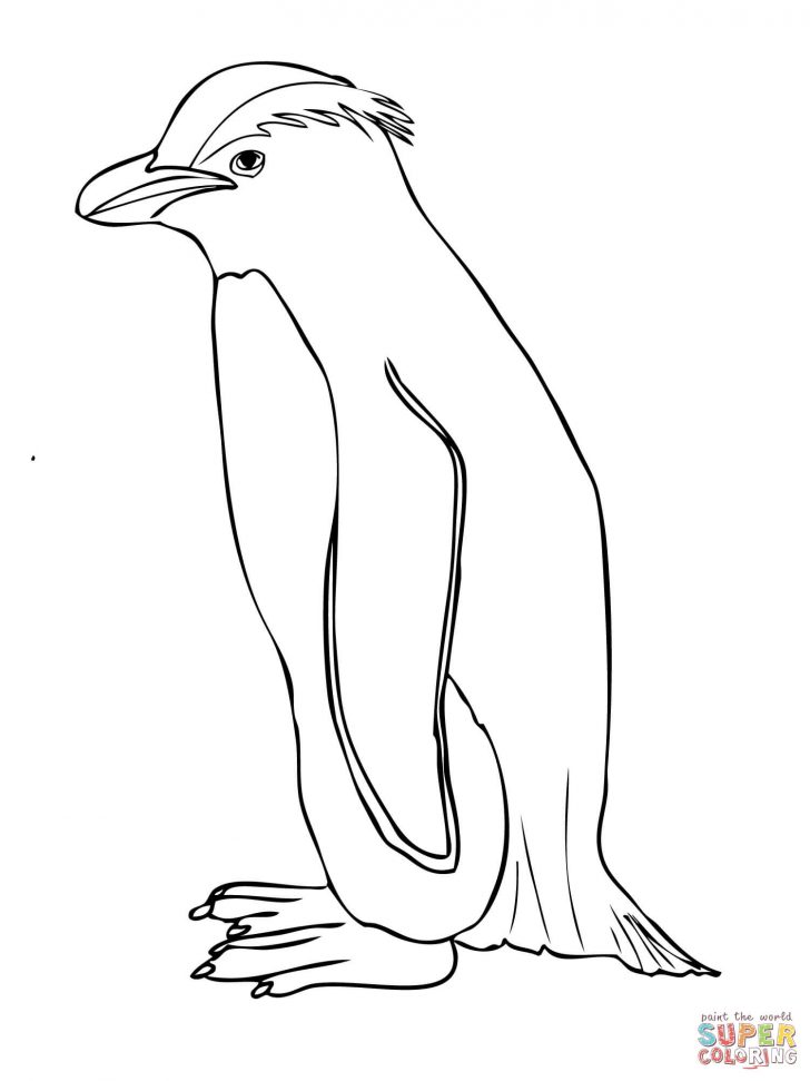 728x971 Printable Penguin Coloring Pages Me Sheets Animal Club Free