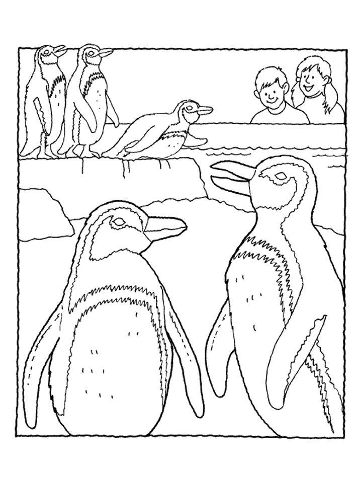 720x960 Zoo Worksheets Zoo Penguin Coloring Pages June Is National Zoo