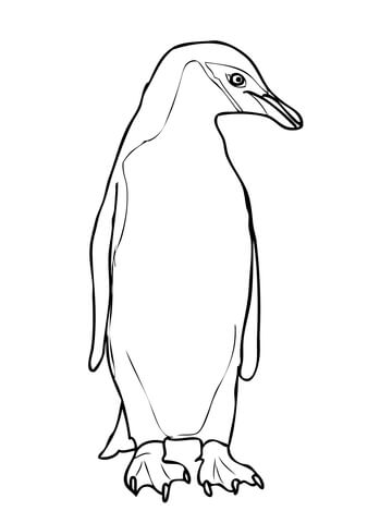 360x480 Chinstrap Penguin Watch Of Side Coloring Page