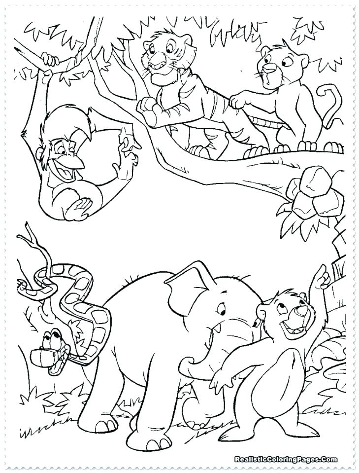 729x959 Safari Coloring Pages Safari Animal Safari Animal Coloring Pages