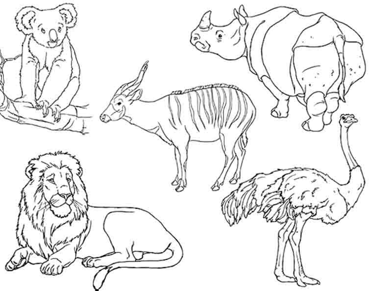 757x595 Wilde Tiere Ausmalbilder Ausmalbilder African Art