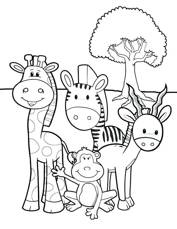 600x776 Safari Animals Coloring Pages Beautiful Jungle Coloring Sheets