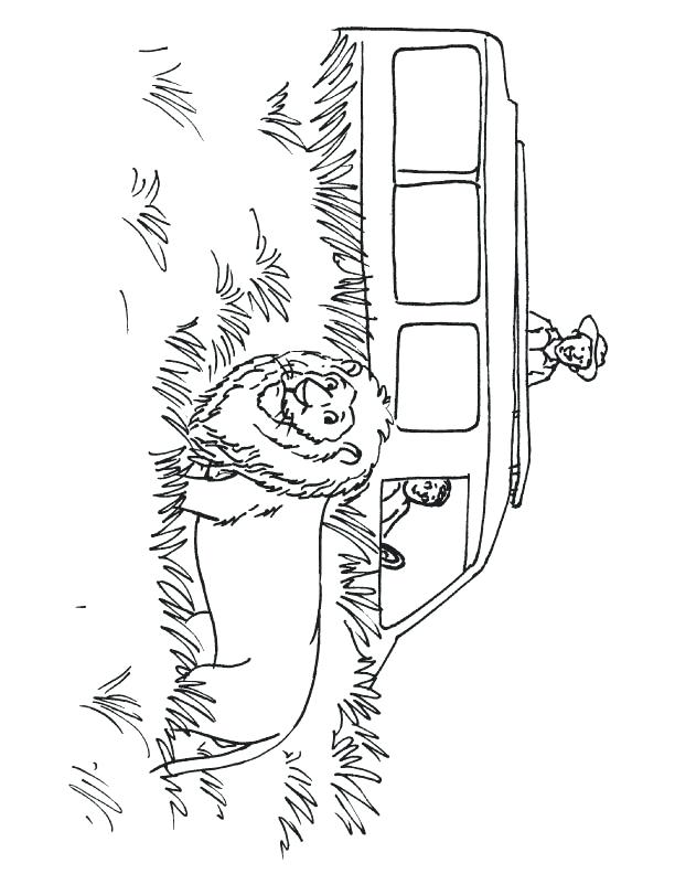 612x792 Safari Coloring Pages Safari Coloring Page African Safari Coloring