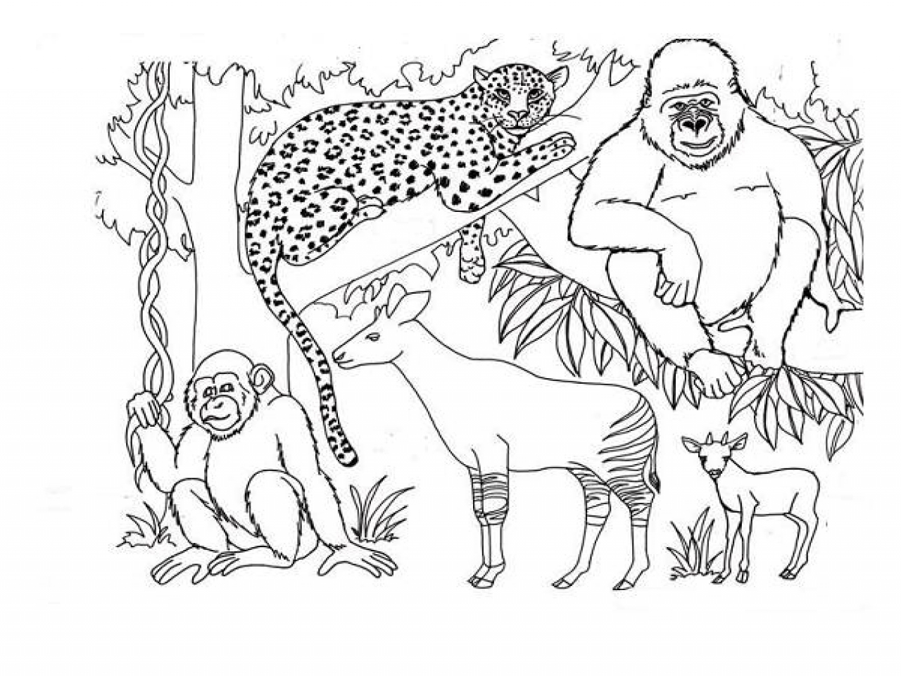 1280x960 African Safari Coloring Pages Animals